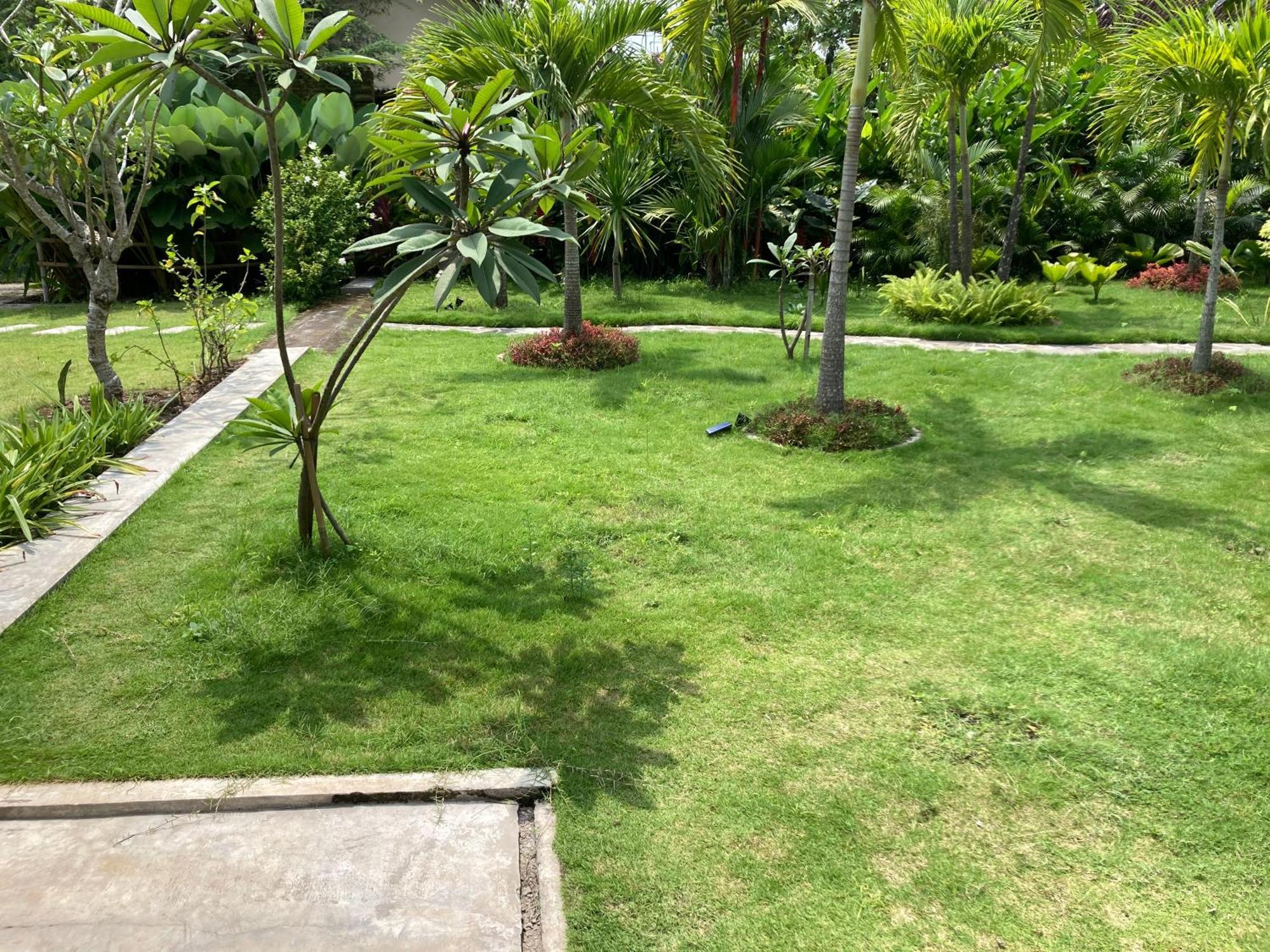 Ohmmstay - Rumah Pendopo Tanjungtirto Exterior foto